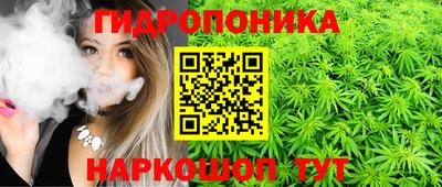 дмт Балаково