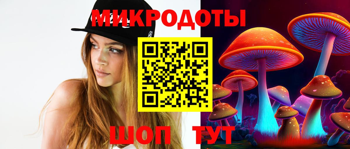 Псилоцибиновые грибы прущие грибы Ессентуки