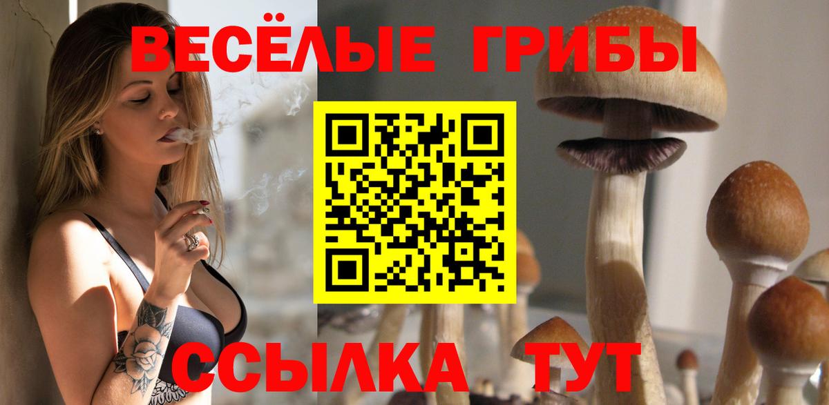 Ессентуки  Псилоцибиновые грибы Cubensis  Вход с VPN 